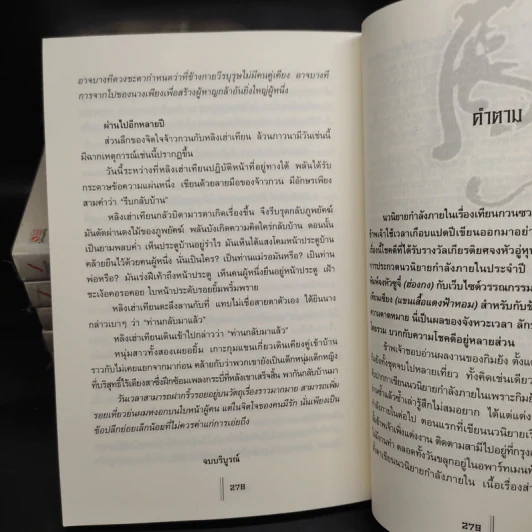 พยัคฆ์คู่ผงาดฟ้า 6 เล่มจบ - น.นพรัตน์ รูปที่ 8