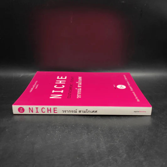 Niche Edutainment Essay - วรากรณ์ สามโกเศศ รูปที่ 3