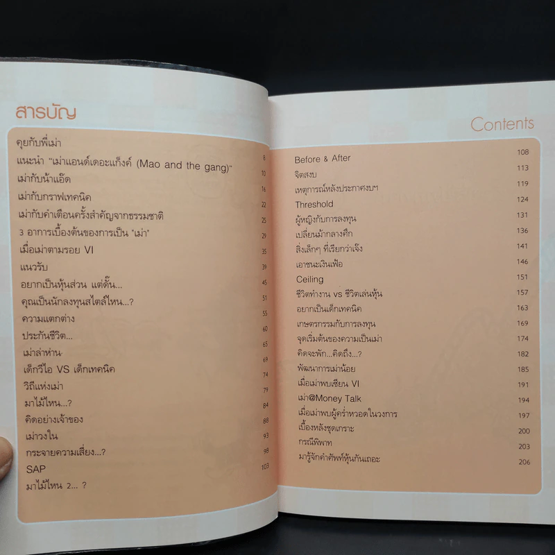เล่นหุ้นกับพี่เม่า - ไม้ไต่คู้ รูปที่ 7