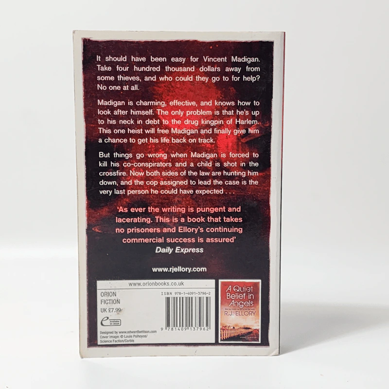 A Dark and Broken Heart - R.J.Ellory รูปที่ 2