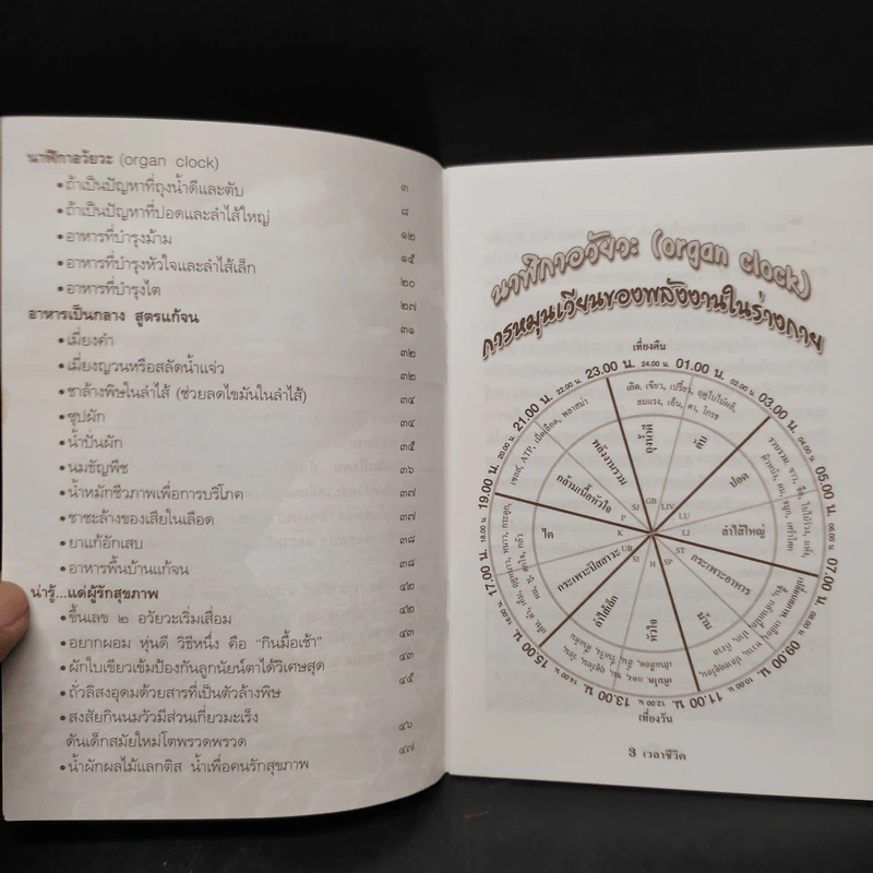 เวลาชีวิต - ล้อเกวียน รูปที่ 6