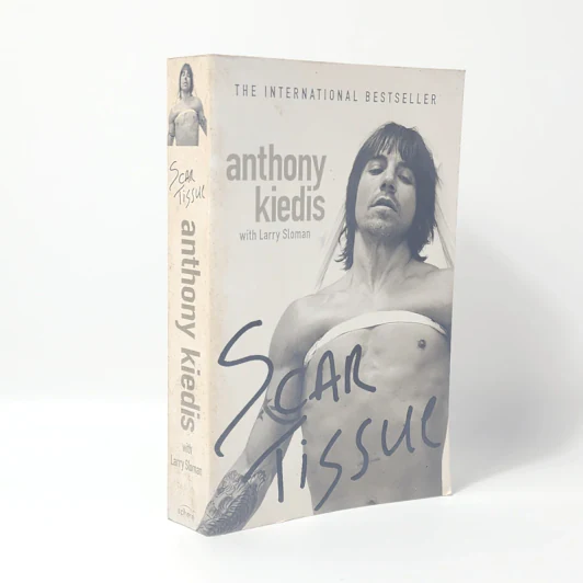 Anthony Kiedis - Scar Tissue รูปที่ 1