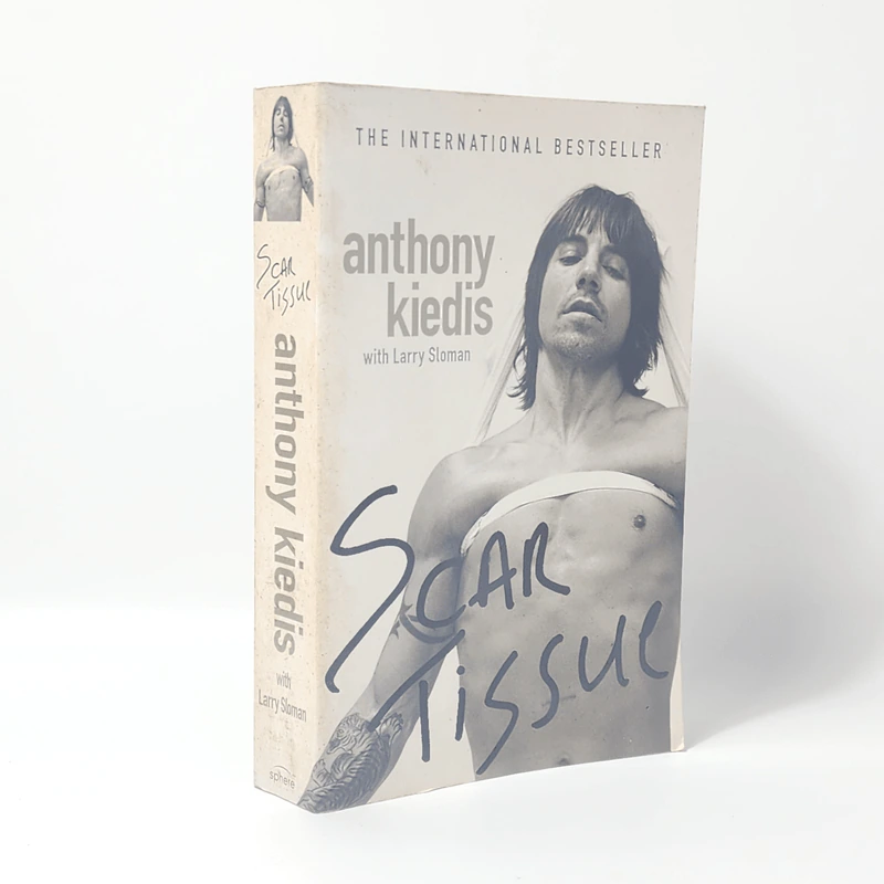 Anthony Kiedis - Scar Tissue รูปที่ 1