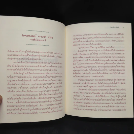 จินตนาการไม่รู้จบ The Neverending Story - มิชาเอ็ล เอ็นเด้ รูปที่ 7