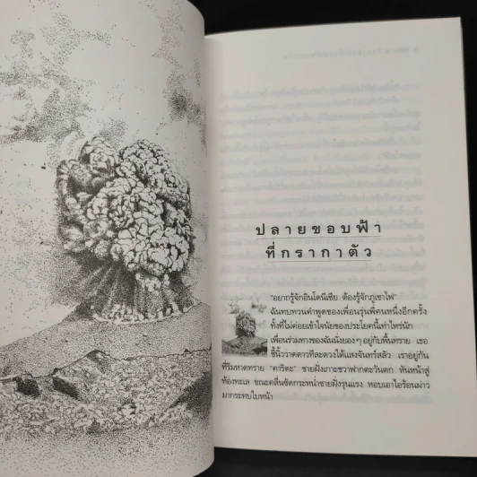 บันทายฉมาร์เดียงพลาโตและหลวงพระบาง - นิพัทธ์พร เพ็งแก้ว รูปที่ 7