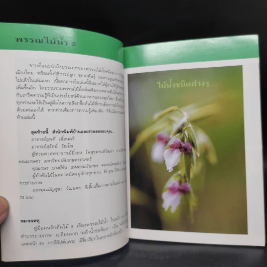 คู่มือคนรักต้นไม้ พรรณไม้น้ำ เล่ม 2 - อุไร จิรมงคลการ รูปที่ 6