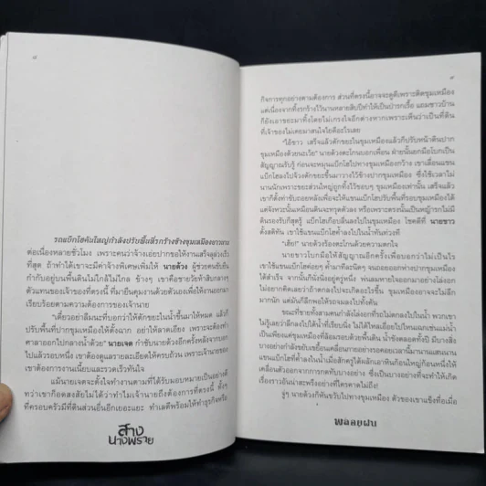สางนางพราย - พลอยฝน รูปที่ 6