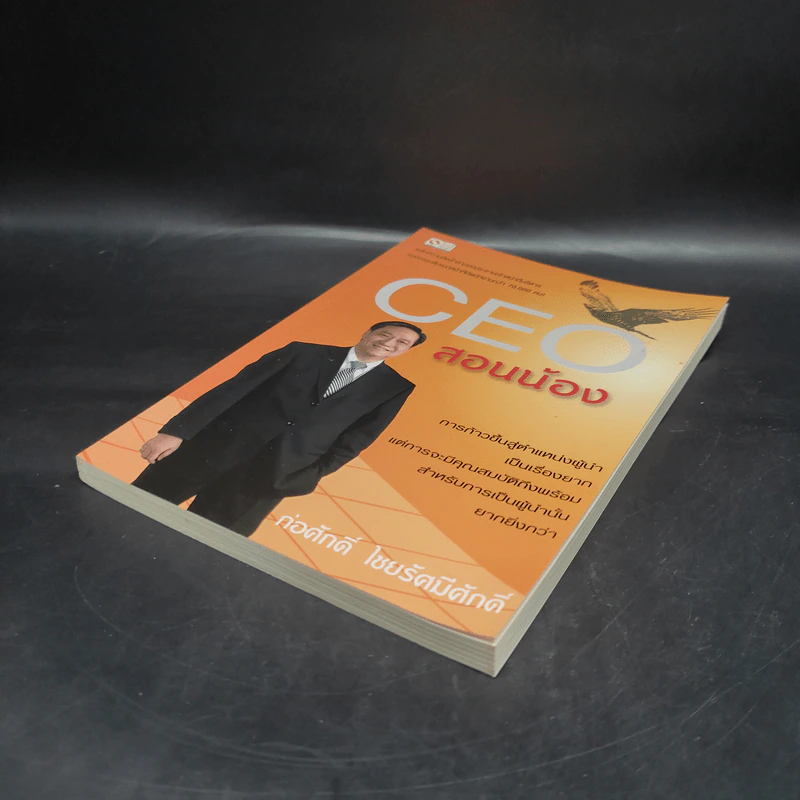 CEO สอนน้อง - ก่อศักดิ์ ไชยรัศมีศักดิ์ รูปที่ 3