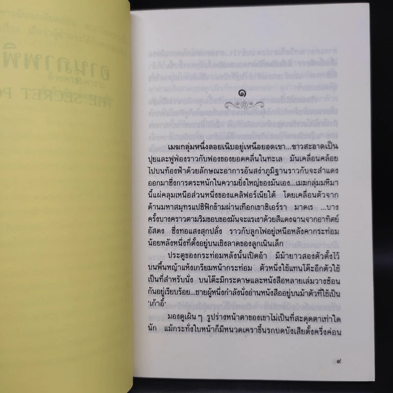 อานุภาพพิศวง - มารี คอเรลลิ, อมราวดี รูปที่ 6