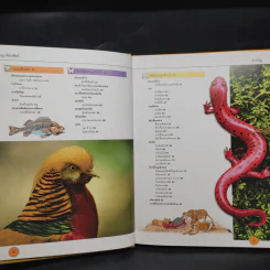 อาณาจักรสัตว์ Grand Atlas of Animals รูปที่ 6