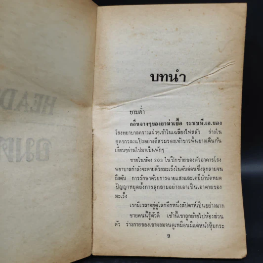 Heads อมตะ - David Osborn, สุวิทย์ ขาวปลอด รูปที่ 5