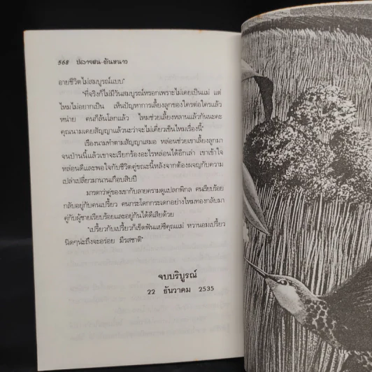ปลายฝนต้นหนาว - โบตั๋น รูปที่ 6