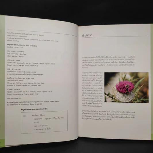 พฤกษศาสตร์ Essential Atlas of Botany รูปที่ 5