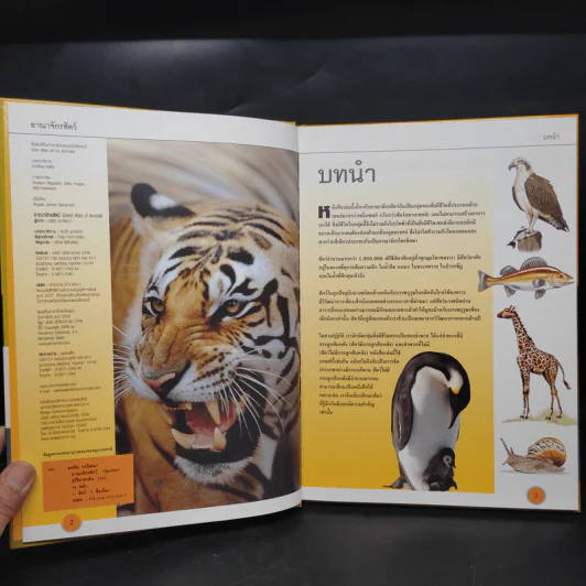 อาณาจักรสัตว์ Grand Atlas of Animals รูปที่ 5
