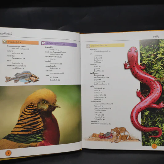 อาณาจักรสัตว์ Grand Atlas of Animals รูปที่ 6