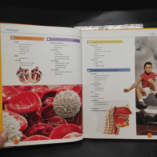 ร่างกายมนุษย์ Grand Atlas of Human Body รูปที่ 6