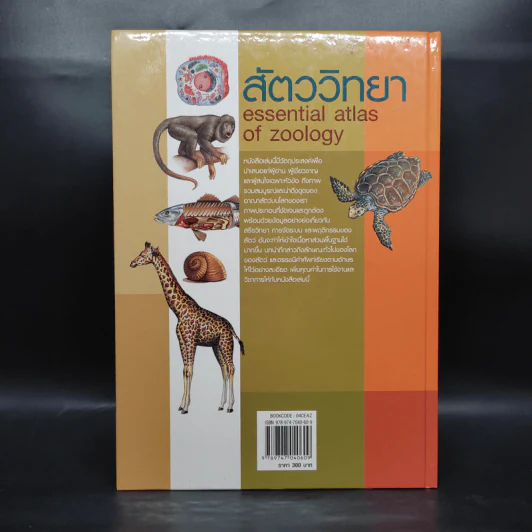 สัตววิทยา Essential Atlas of Zoology รูปที่ 2