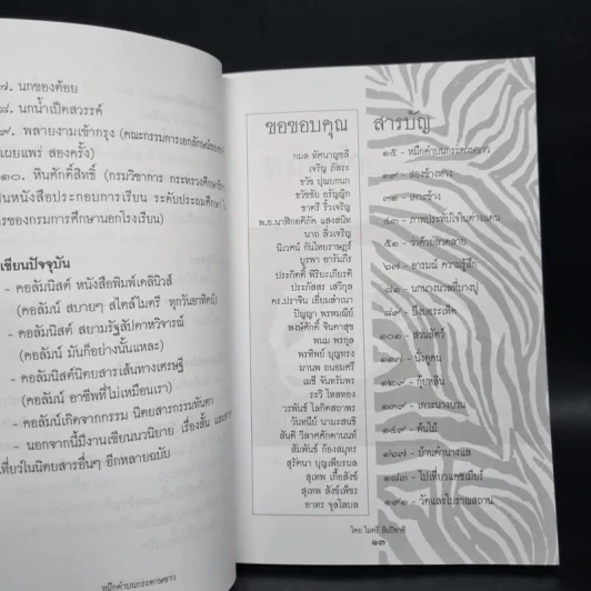 หมึกดำบนกระดาษขาว - ไมตรี ลิมปิชาติ รูปที่ 6