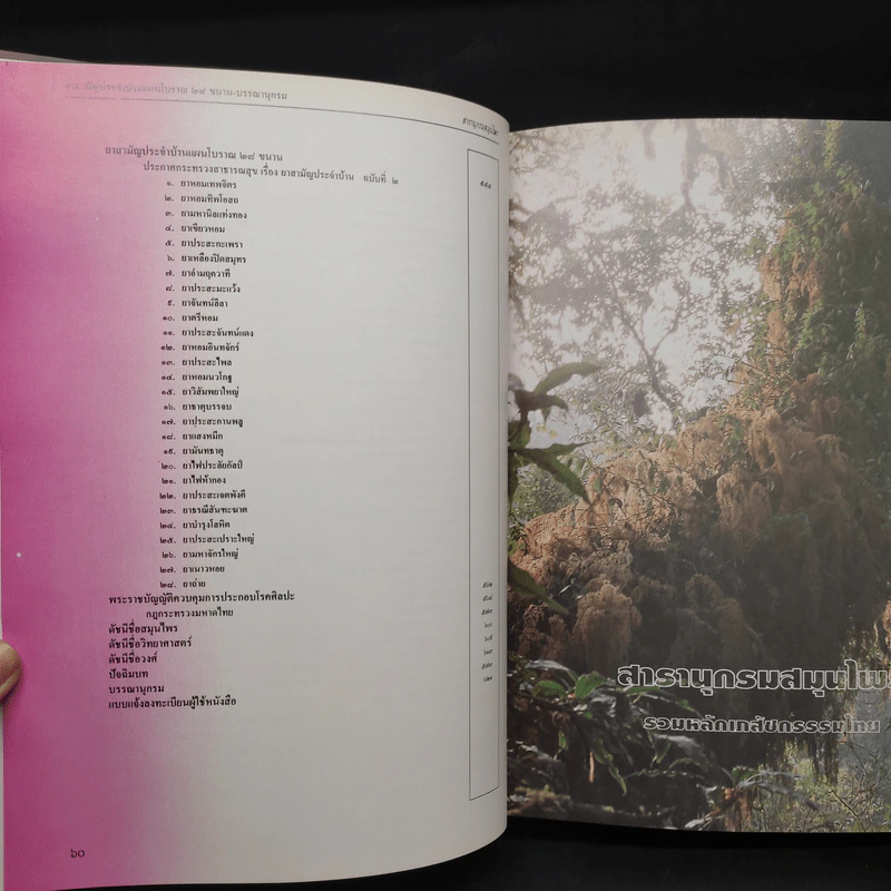 สารานุกรมสมุนไพร รวมหลักเภสัชกรรมไทย - วุฒิ วุฒิธรรมเวช รูปที่ 14