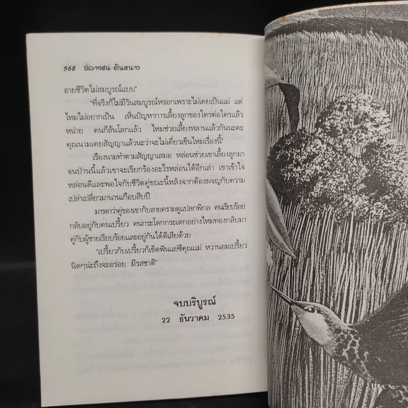 ปลายฝนต้นหนาว - โบตั๋น รูปที่ 6