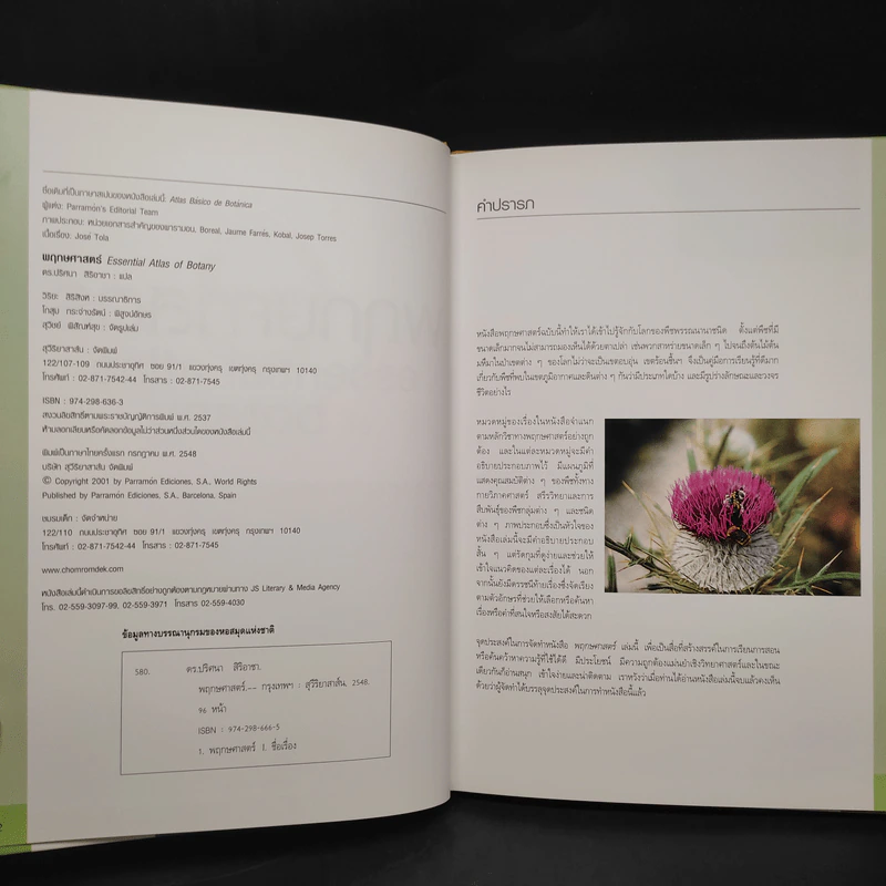 พฤกษศาสตร์ Essential Atlas of Botany รูปที่ 5
