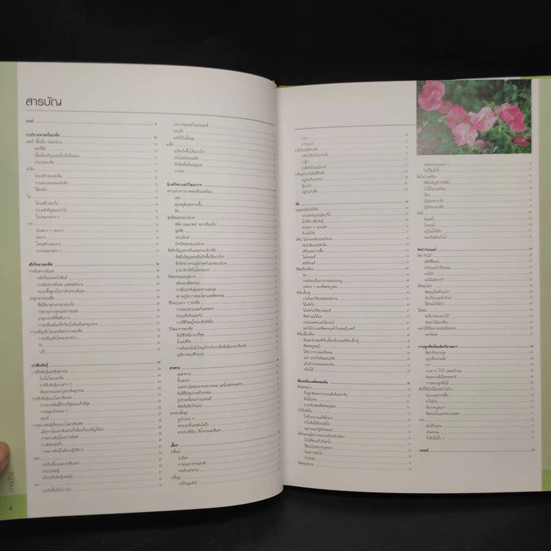 พฤกษศาสตร์ Essential Atlas of Botany รูปที่ 6