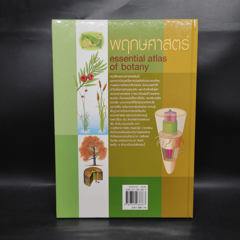 พฤกษศาสตร์ Essential Atlas of Botany รูปที่ 2
