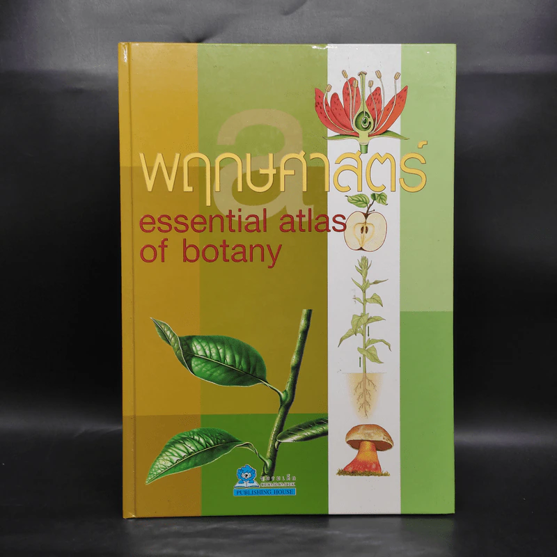พฤกษศาสตร์ Essential Atlas of Botany รูปที่ 1
