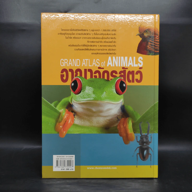 อาณาจักรสัตว์ Grand Atlas of Animals รูปที่ 2