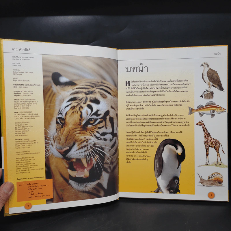 อาณาจักรสัตว์ Grand Atlas of Animals รูปที่ 5