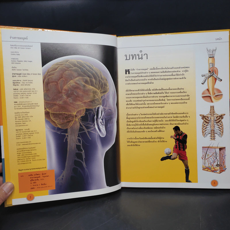 ร่างกายมนุษย์ Grand Atlas of Human Body รูปที่ 5