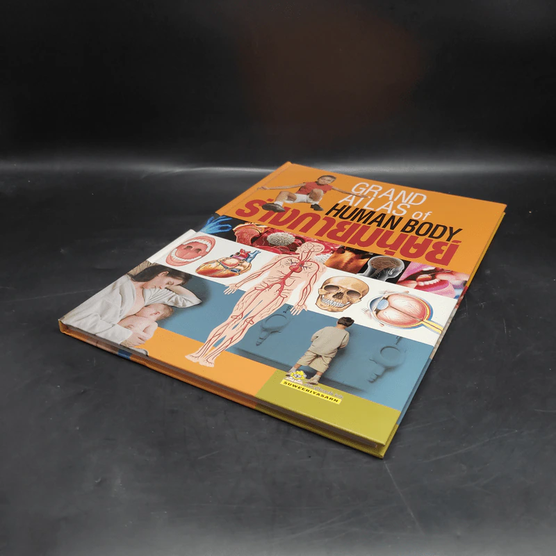 ร่างกายมนุษย์ Grand Atlas of Human Body รูปที่ 4