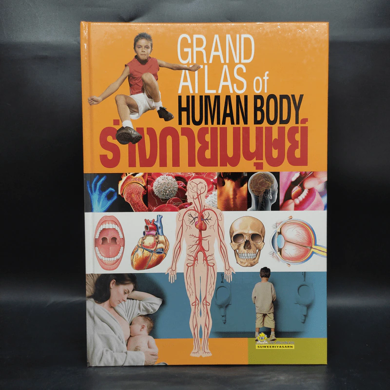 ร่างกายมนุษย์ Grand Atlas of Human Body รูปที่ 1