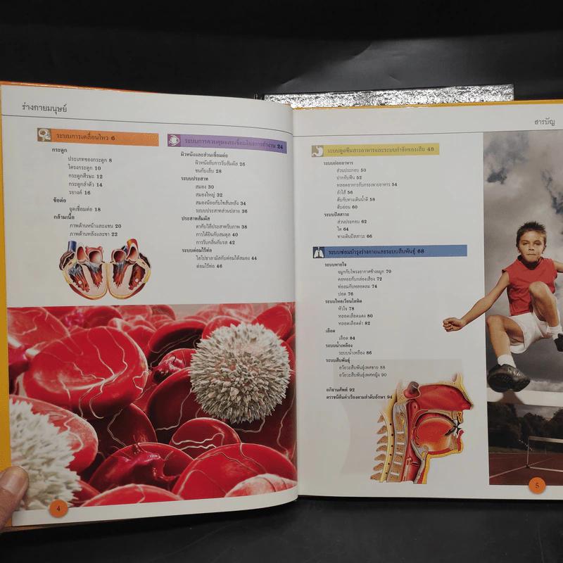 ร่างกายมนุษย์ Grand Atlas of Human Body รูปที่ 6