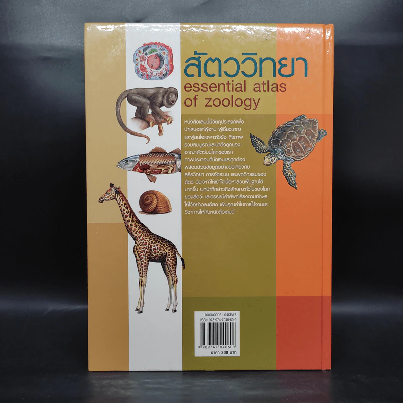 สัตววิทยา Essential Atlas of Zoology รูปที่ 2