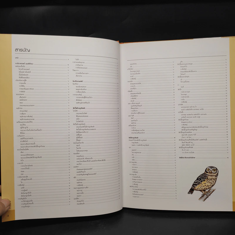 สัตววิทยา Essential Atlas of Zoology รูปที่ 6