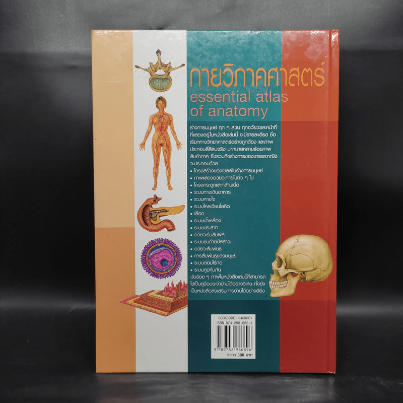 กายวิภาคศาสตร์ Essential Atlas of Anatomy รูปที่ 2
