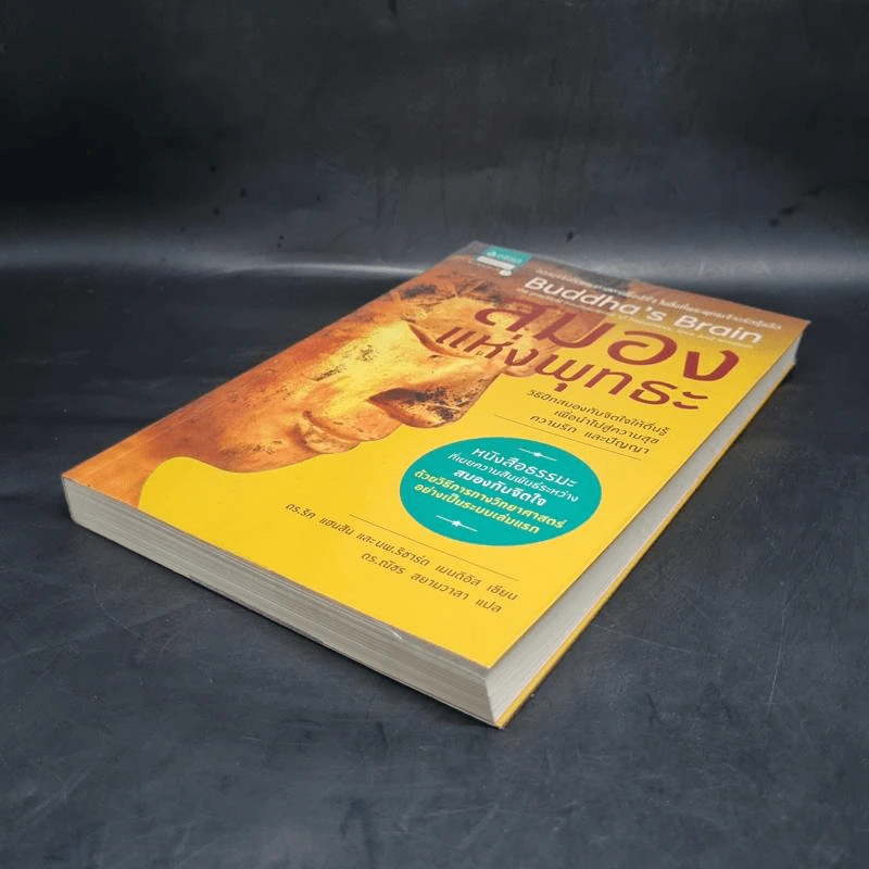 สมองแห่งพุทธะ : Buddha's Brain - Richard Mendius (ริชาร์ด แมนดิอัส), Rick Hanson (ริค แฮนสัน) รูปที่ 4