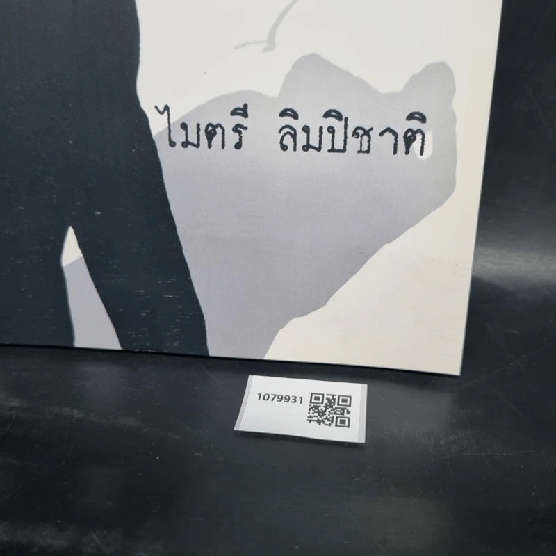 หมึกดำบนกระดาษขาว - ไมตรี ลิมปิชาติ รูปที่ 4