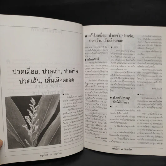ไขปัญหายาไทย สมุนไพรรักษาโรค ชุดที่ 1 รูปที่ 6