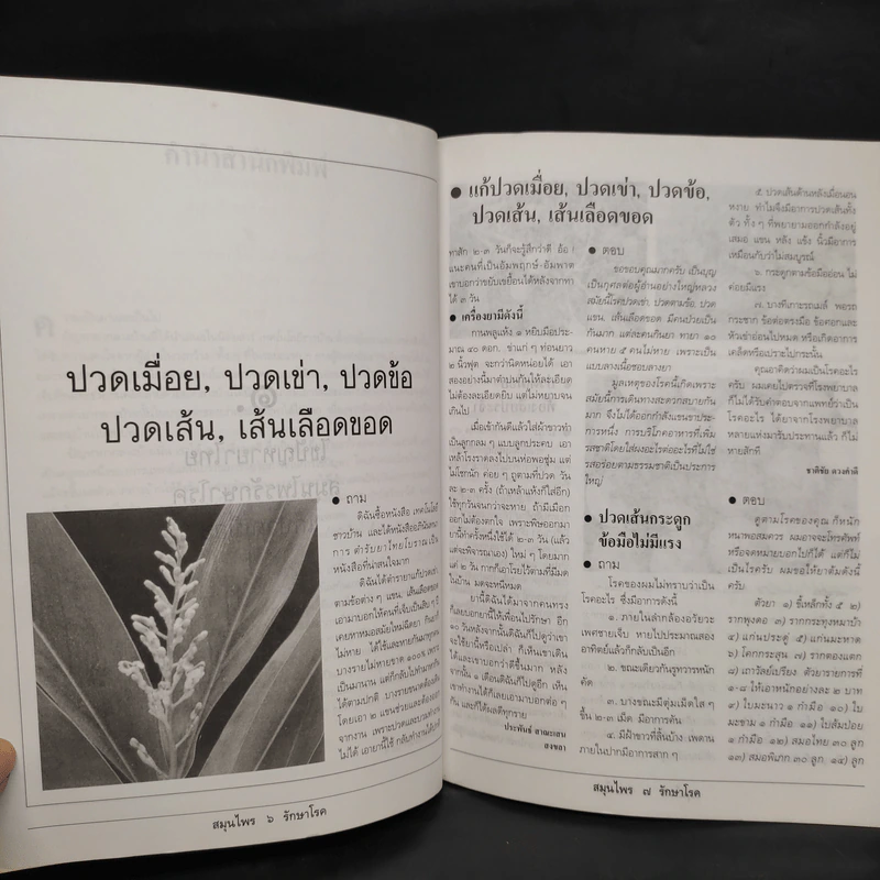 ไขปัญหายาไทย สมุนไพรรักษาโรค ชุดที่ 1 รูปที่ 6