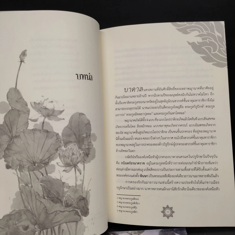 นิยายวาย นาคราชวิวาทรัก - Rolisrose รูปที่ 2