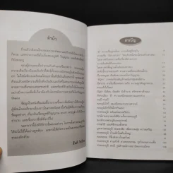 ศาลพระภูมิเจ้าที่เจ้าทาง - สันติ ไพรีรณ รูปที่ 6