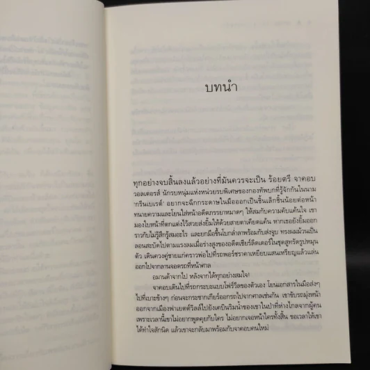 ยุทธการล่าจารกรรมรัก - ณารา รูปที่ 6