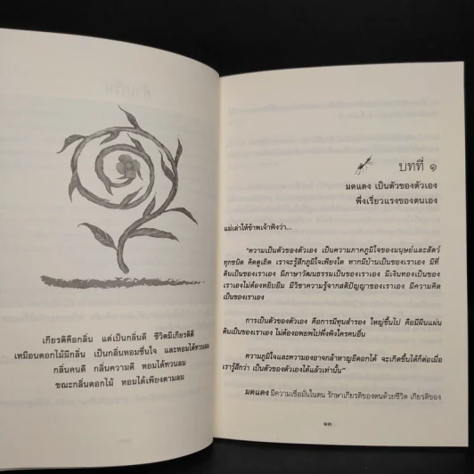 ปรัชญา...มดแดง - ปิยโสภณ รูปที่ 6