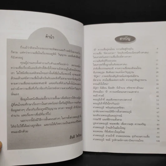 ศาลพระภูมิเจ้าที่เจ้าทาง - สันติ ไพรีรณ รูปที่ 6