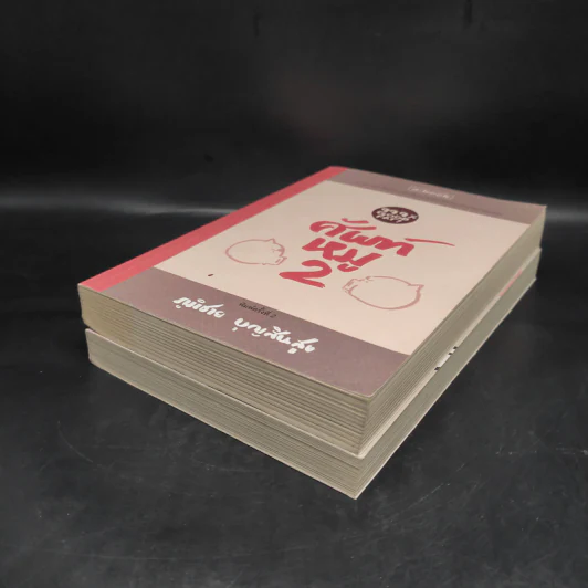 ศัพท์หมู เล่ม 1-2 - ภูมิชาย บุญสินสุข รูปที่ 4