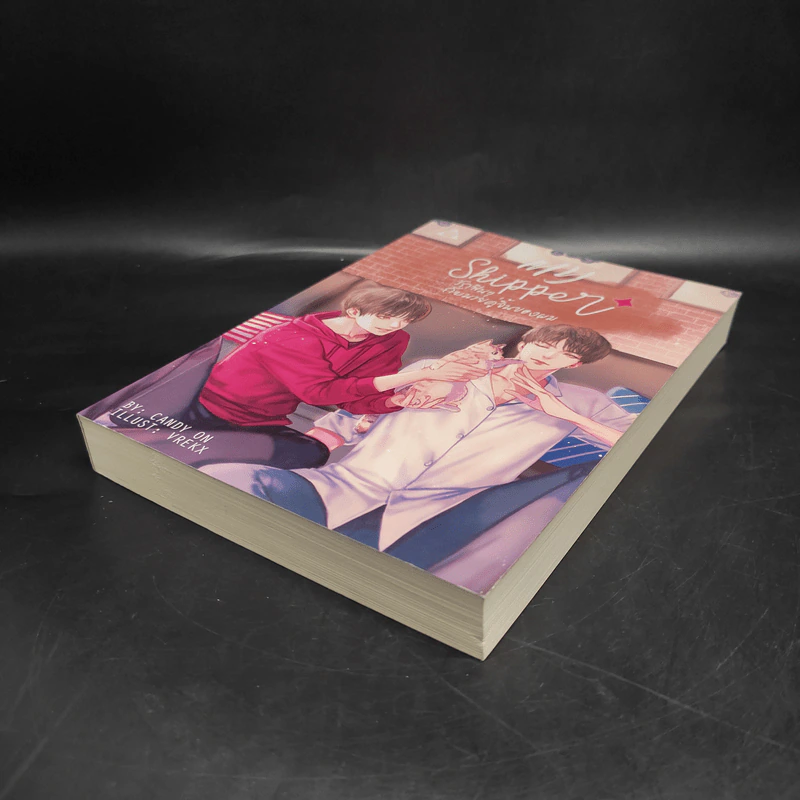 นิยายวาย รักฟินๆ กับนายคู่จิ้นของผม My Shipper - CandyOn รูปที่ 4