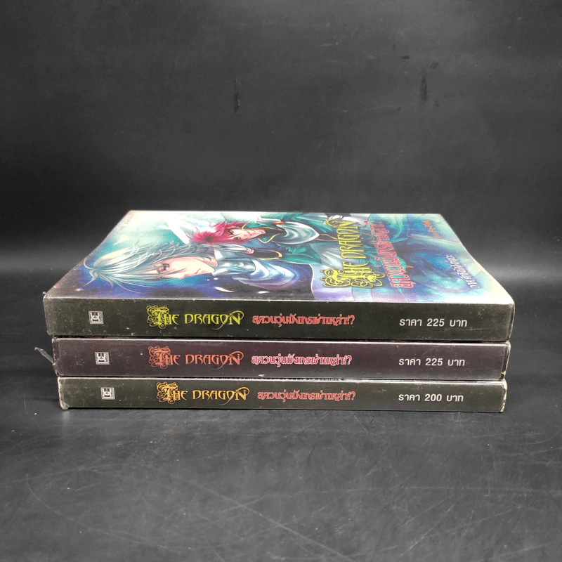 The Dragon อลวนวุ่นมังกรผ่าเหล่า 3 เล่มจบ - PinKu รูปที่ 2