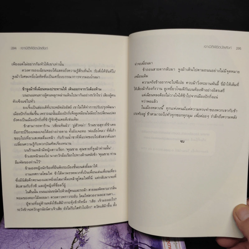 เจาะมิติพิชิตบัลลังก์ 4 เล่มจบ - ถงหัว รูปที่ 6